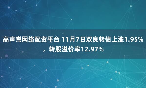 高声誉网络配资平台 11月7日双良转债上涨1.95%，转股溢价率12.97%