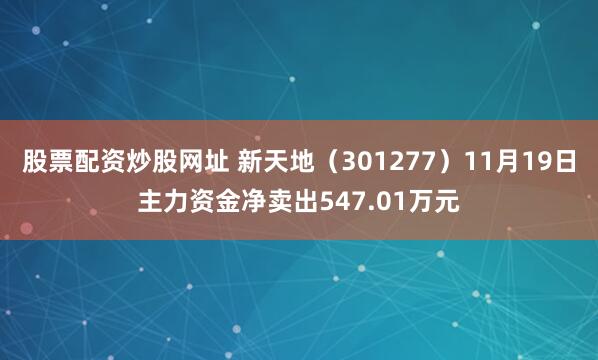 股票配资炒股网址 新天地（301277）11月19日主力资金净卖出547.01万元