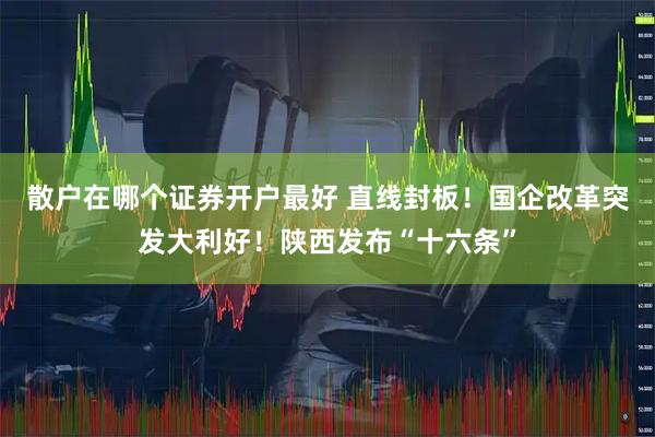 散户在哪个证券开户最好 直线封板！国企改革突发大利好！陕西发布“十六条”