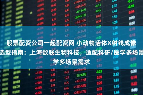 股票配资公司一起配资网 小动物活体X射线成像系统选型指南：上海数联生物科技，适配科研/医学多场景需求